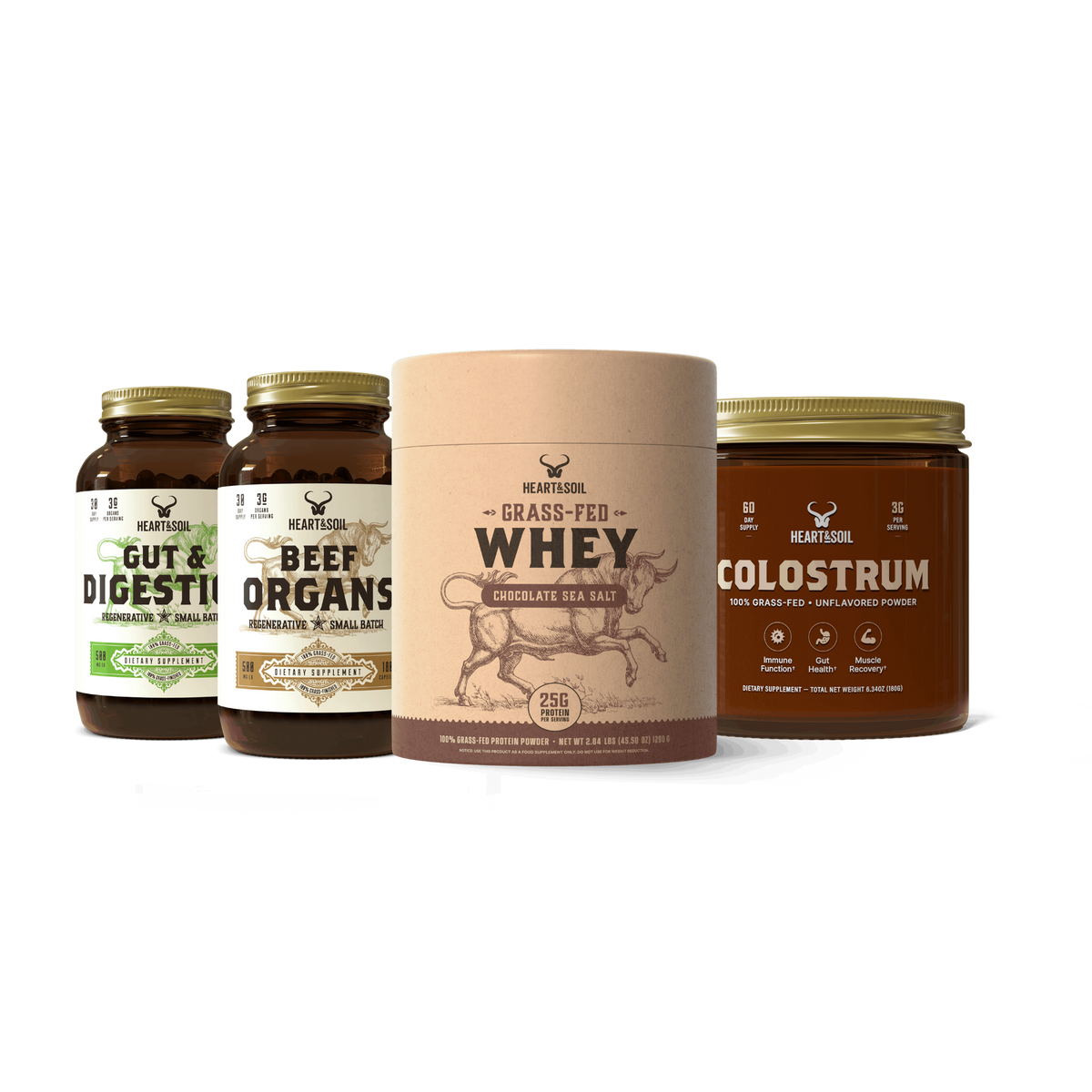 GLP-1 Protocol (Chocolate Protein)