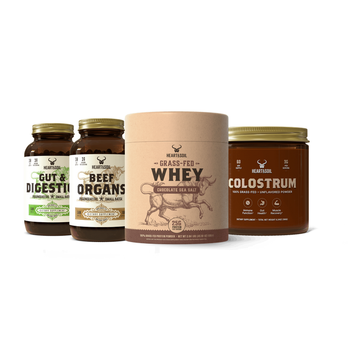GLP-1 Protocol (Chocolate Protein)