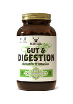 Gut & Digestion