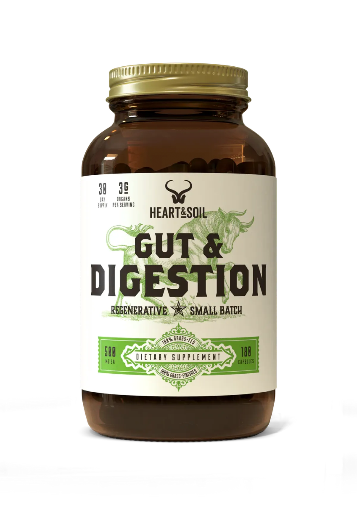 Gut & Digestion