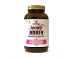 Mood, Memory & Brain