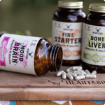 Mood, Memory & Brain