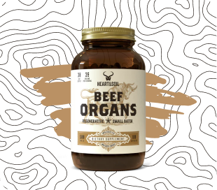 Beef Organs